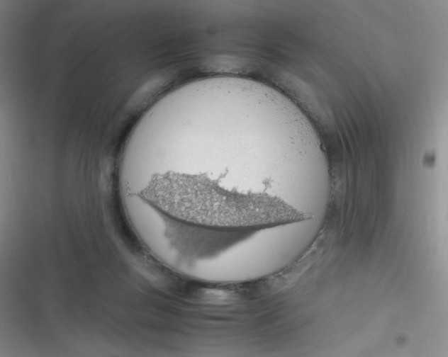 X0000116820167201001081424