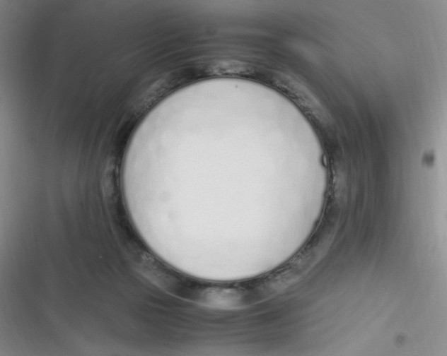 X0000116820169201001081424