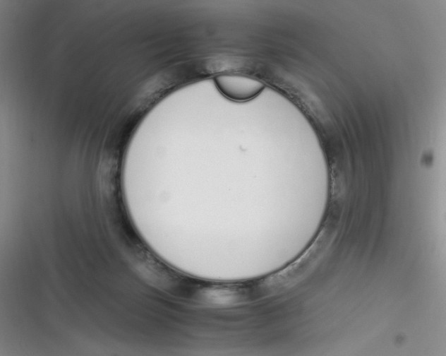 X0000116820171201001081424