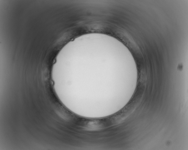 X0000116820173201001081424