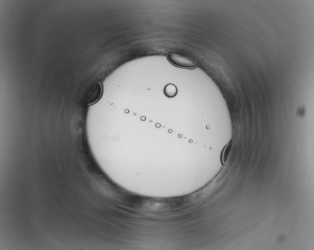 X0000116820174201001081424