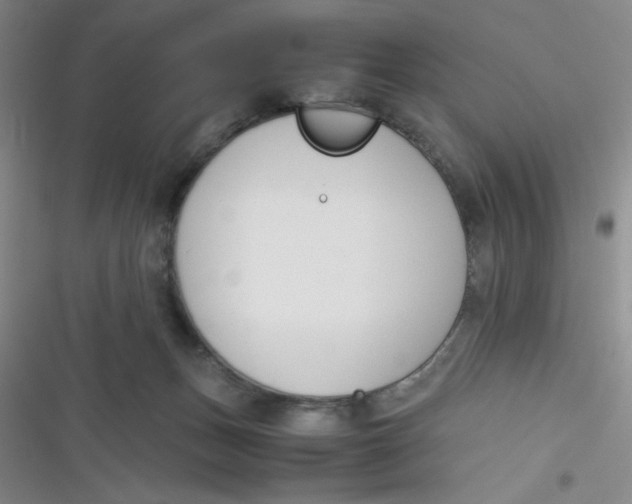 X0000116820175201001081424