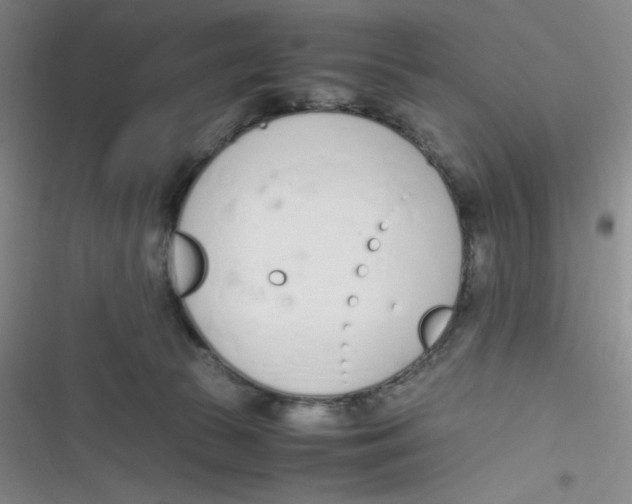 X0000116820177201001081424