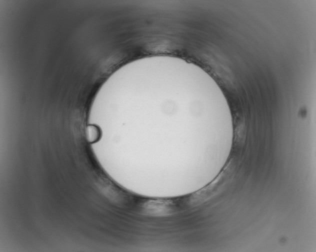 X0000116820179201001081424