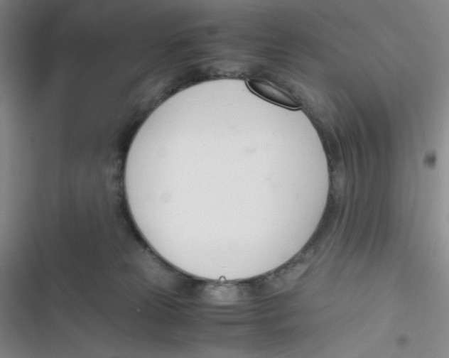 X0000116820181201001081424