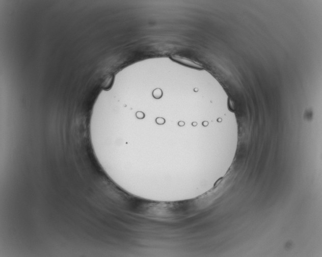 X0000116820182201001081424