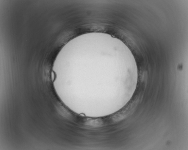 X0000116820185201001081424