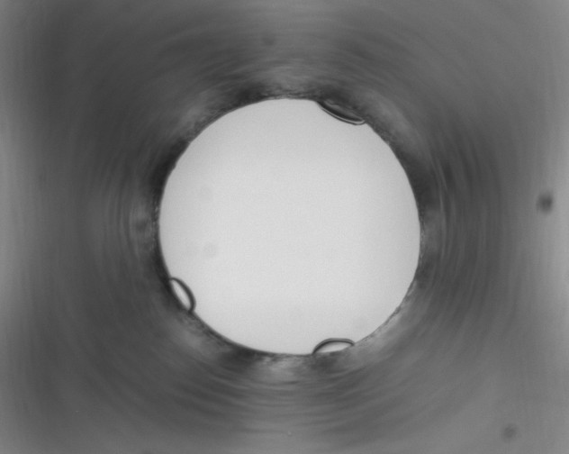 X0000116820186201001081424