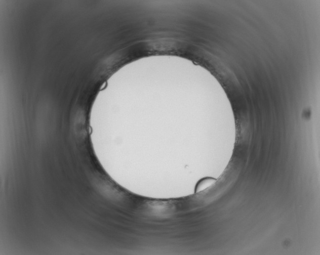 X0000116820187201001081424