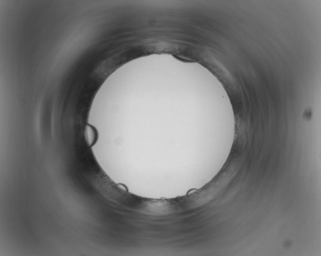 X0000116820189201001081424