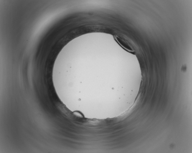 X0000116820190201001081424