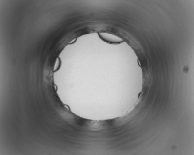 X0000116820191201001081424