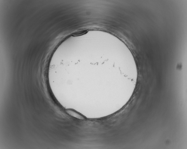 X0000116820193201001081424