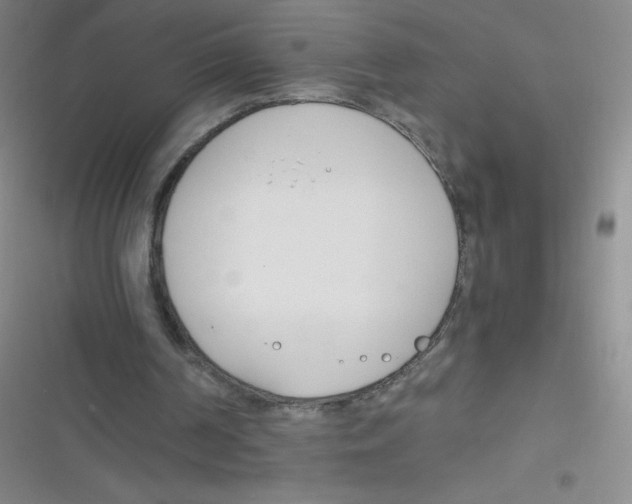 X0000116820194201001081424