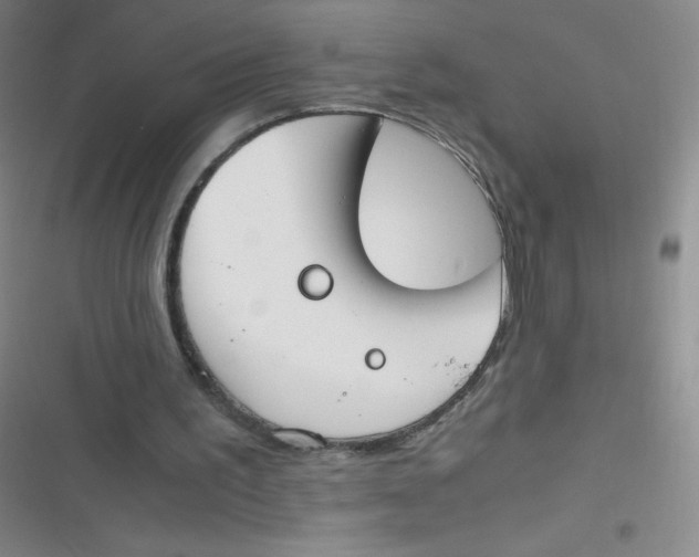 X0000116820195201001081424