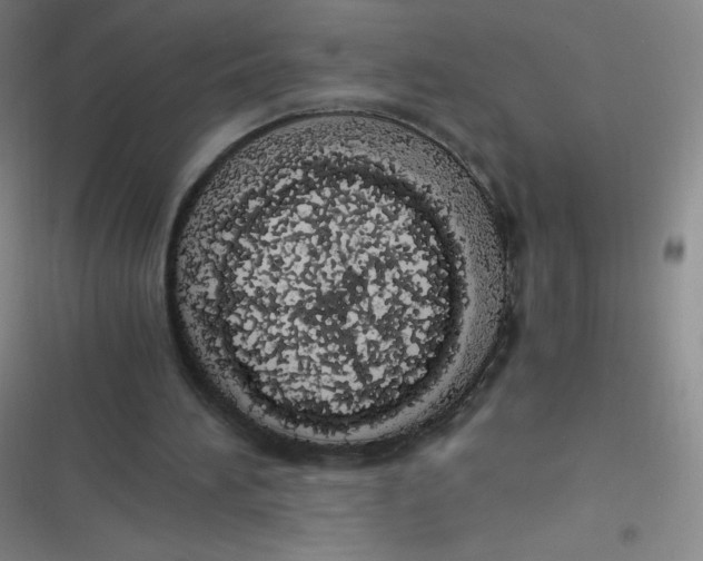 X0000116820196201001081424