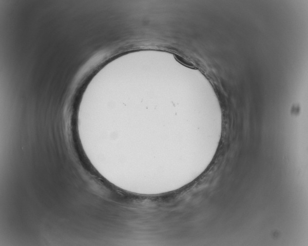 X0000116820197201001081424