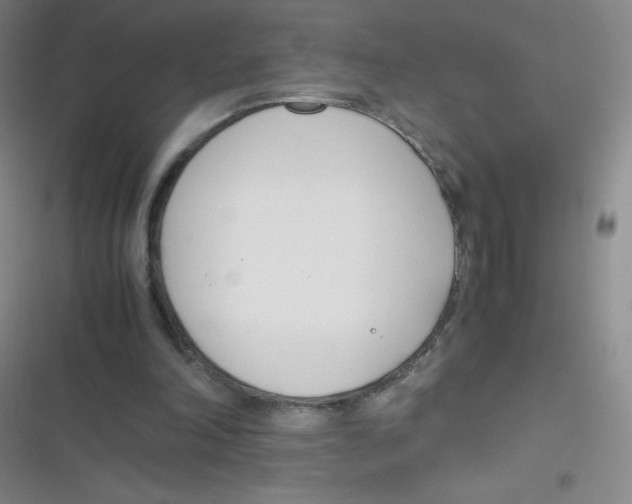 X0000116820198201001081424