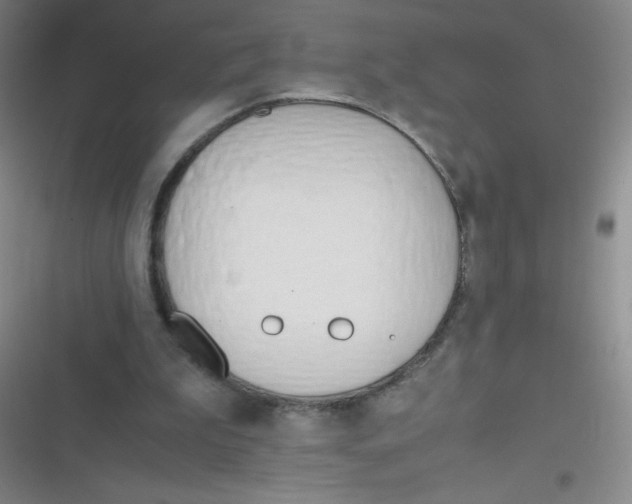 X0000116820199201001081424