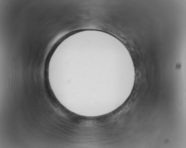 X0000116820200201001081424