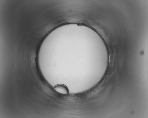 X0000116820201201001081424