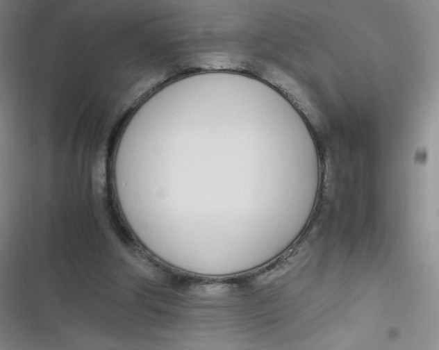 X0000116820202201001081424