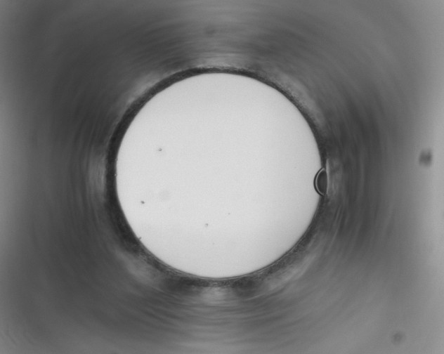 X0000116820204201001081424