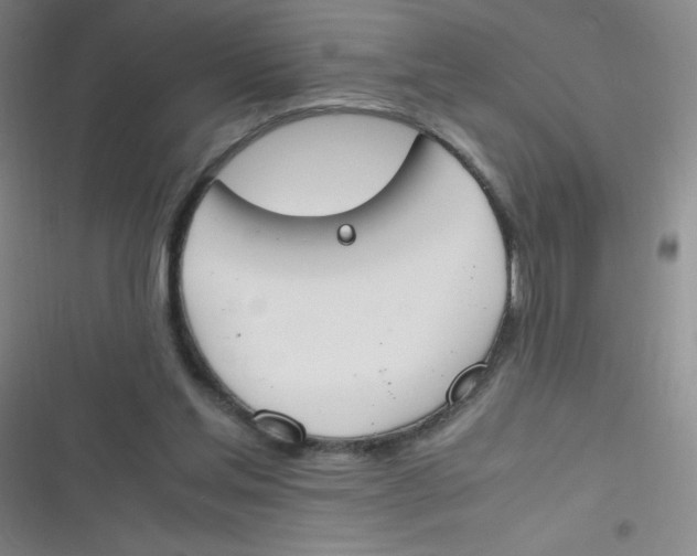 X0000116820205201001081424