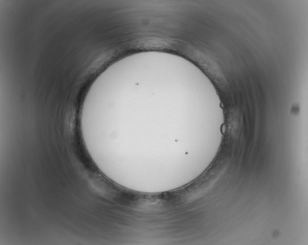 X0000116820206201001081424