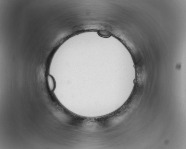 X0000116820207201001081424