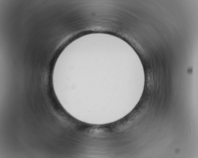 X0000116820208201001081424