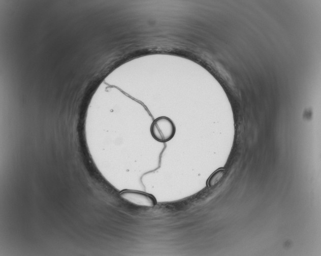 X0000116820209201001081424