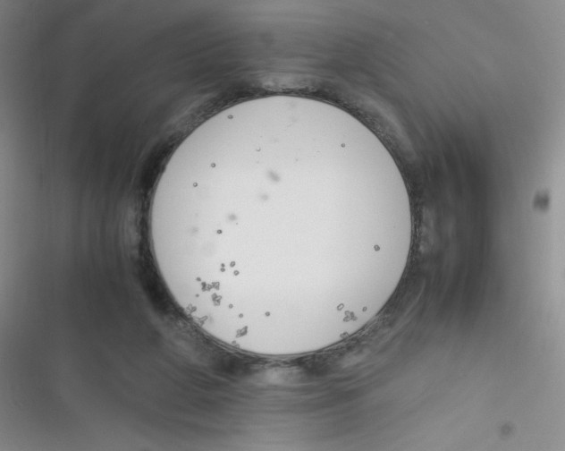 X0000116820210201001081424