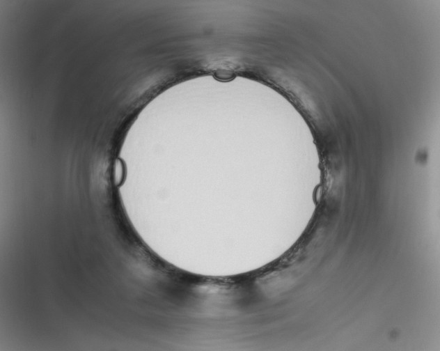 X0000116820211201001081424