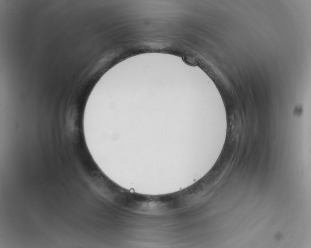 X0000116820212201001081423