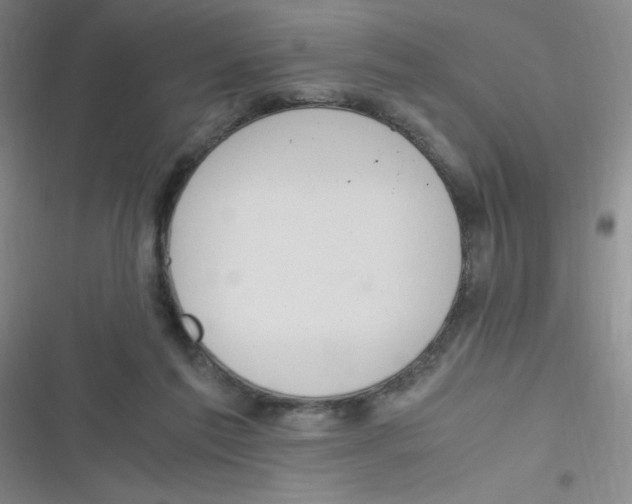 X0000116820213201001081423