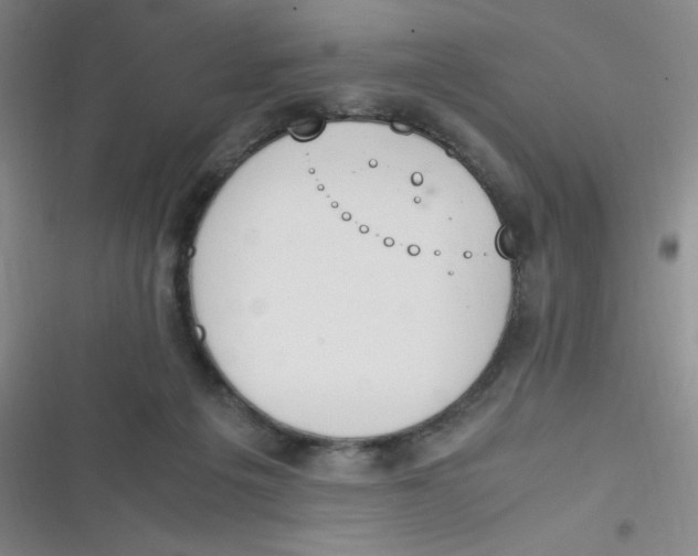 X0000116820217201001081423