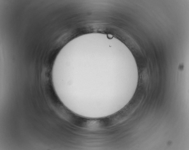 X0000116820218201001081423