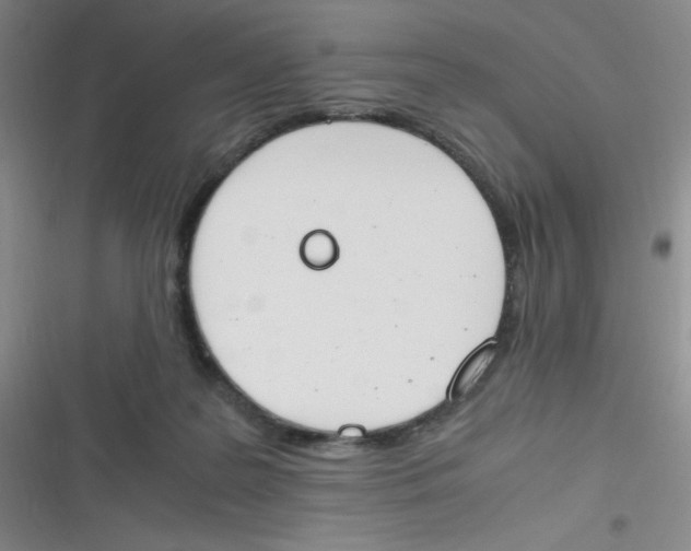 X0000116820219201001081423