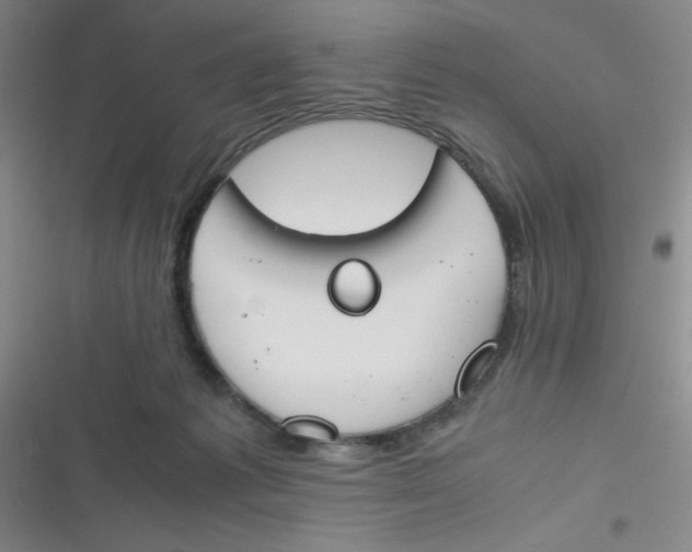 X0000116820221201001081423