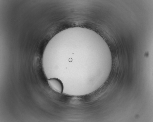 X0000116820222201001081423