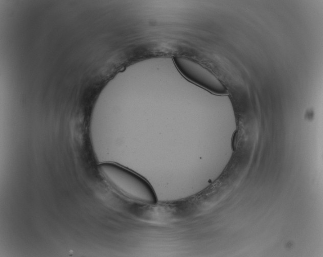 X0000116820223201001081423