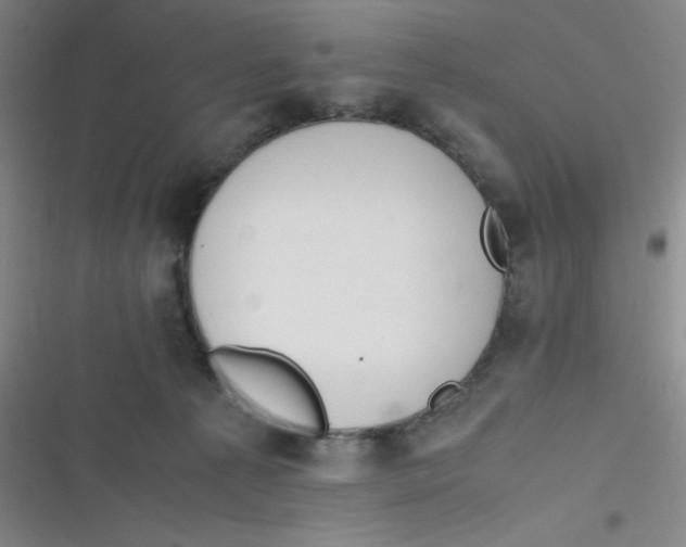 X0000116820225201001081423