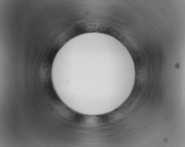 X0000116820226201001081423