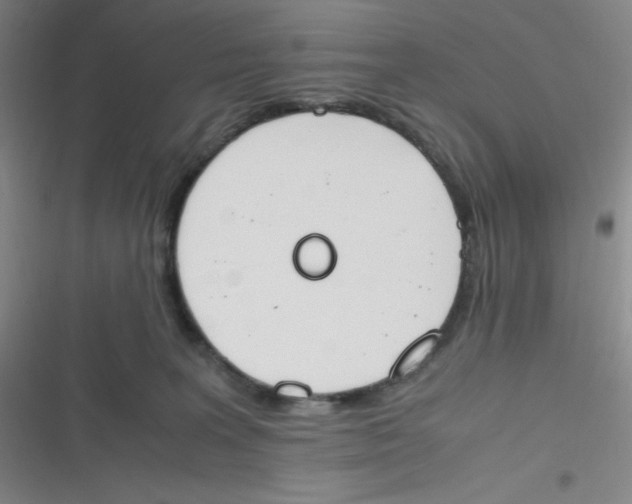 X0000116820227201001081423