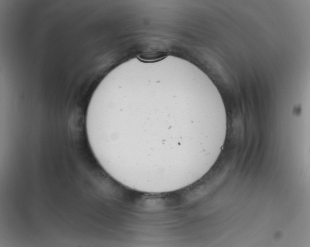 X0000116820228201001081423