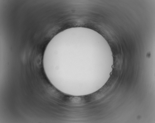 X0000116820230201001081423