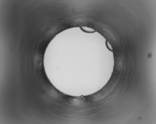 X0000116820232201001081423