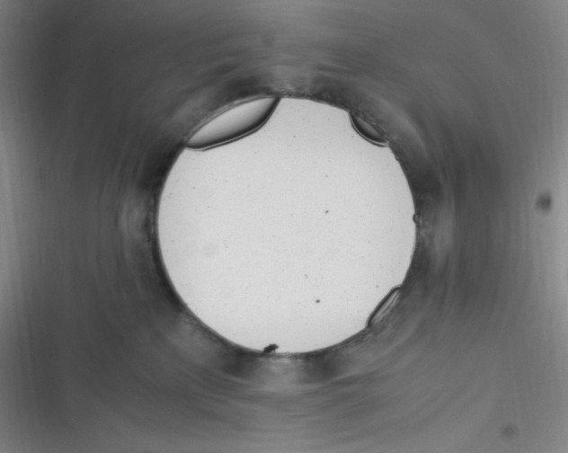 X0000116820233201001081423