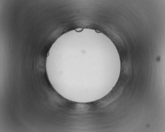 X0000116820234201001081423